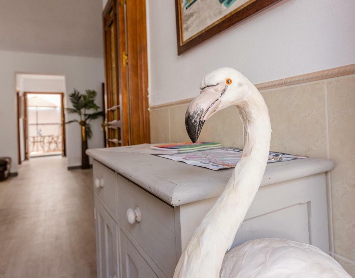 Alhaurin Old Town, Casa Flamingo, 2 Bed Apartment Alhaurín el Grande المظهر الخارجي الصورة
